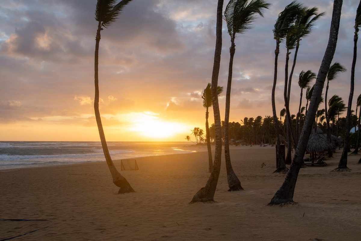 Palm trees at sunset on a corporate incentive trip